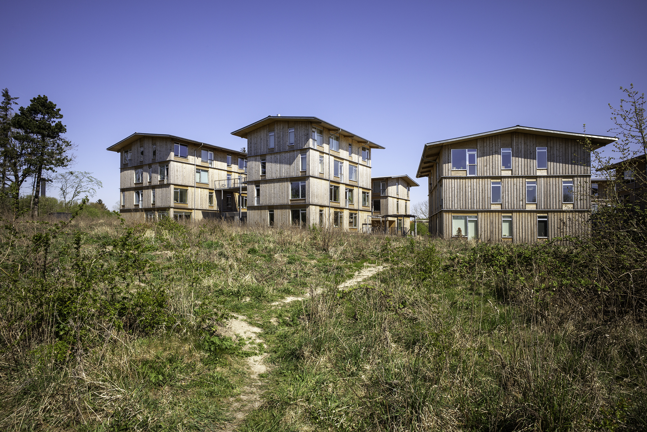 Photo of Housing on Lisbjerg Hill by Vandkunsten Architects. Photo credit: Helene Høyer Mikkelsen