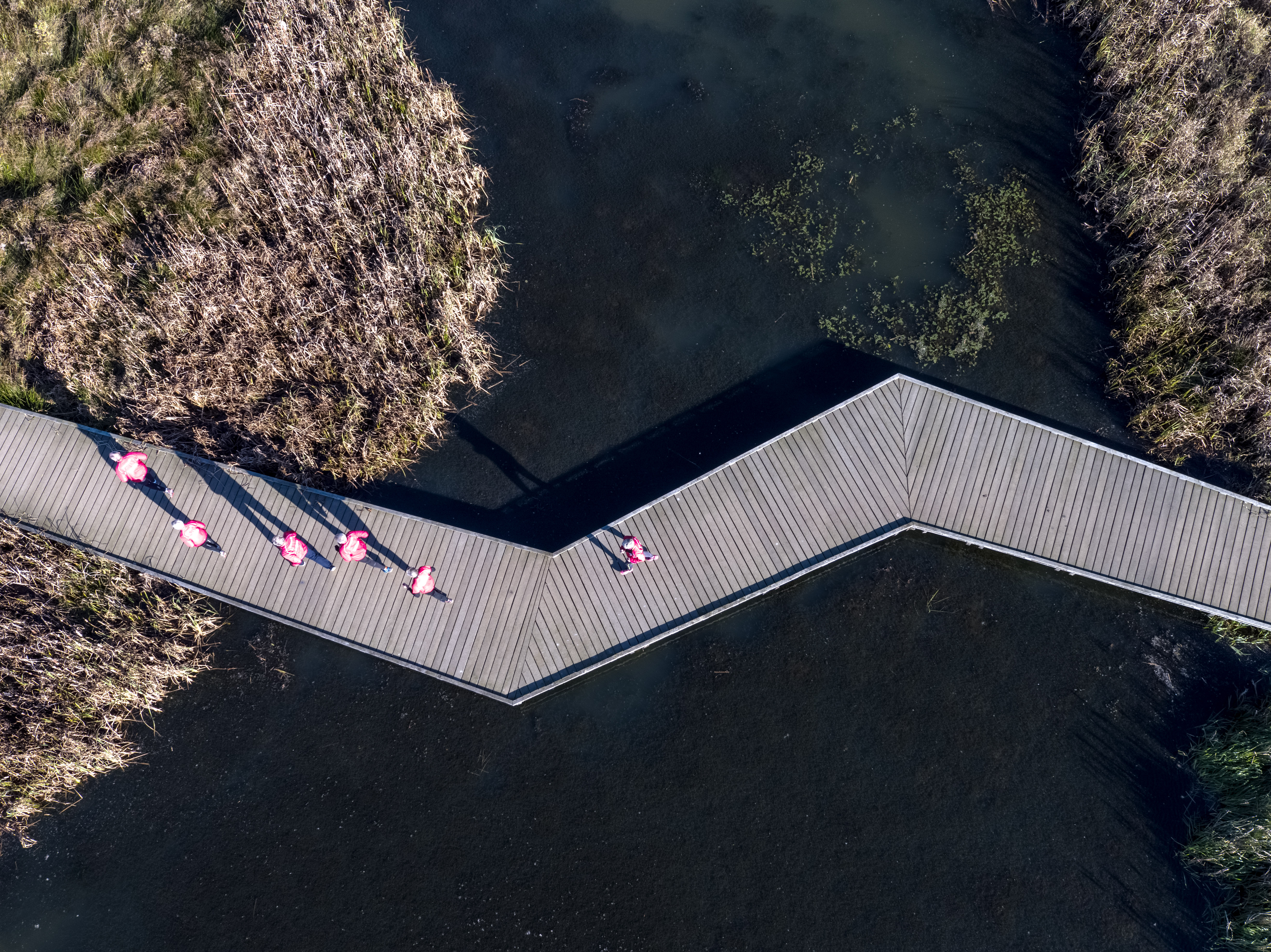 Kokkedal Climate Adaption by Schønherr Landscape Architects. Photo: Carsten Ingemann