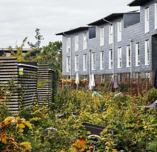 Danmarkshusene, Tegnestuen Vandkunsten. Foto: 