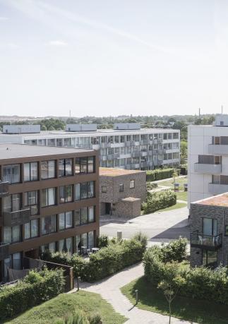Rosenhøj. Foto: EFFEKT