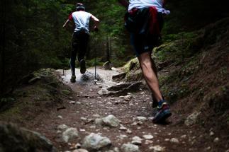 Trail runnere i Norge