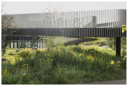 Foto af de grønne omgivelser til Mærsktårnet i København