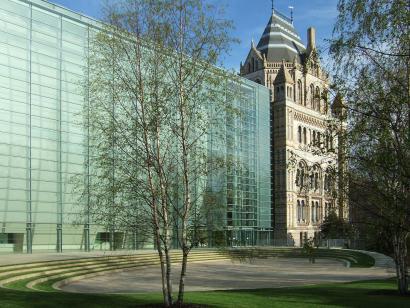 Foto at Darwin Centre i London af C.F. Møller