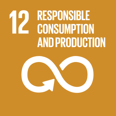 illustration sdg 12