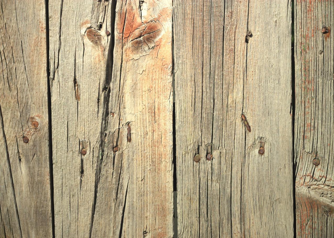 Danske Arkitektvirksomheder