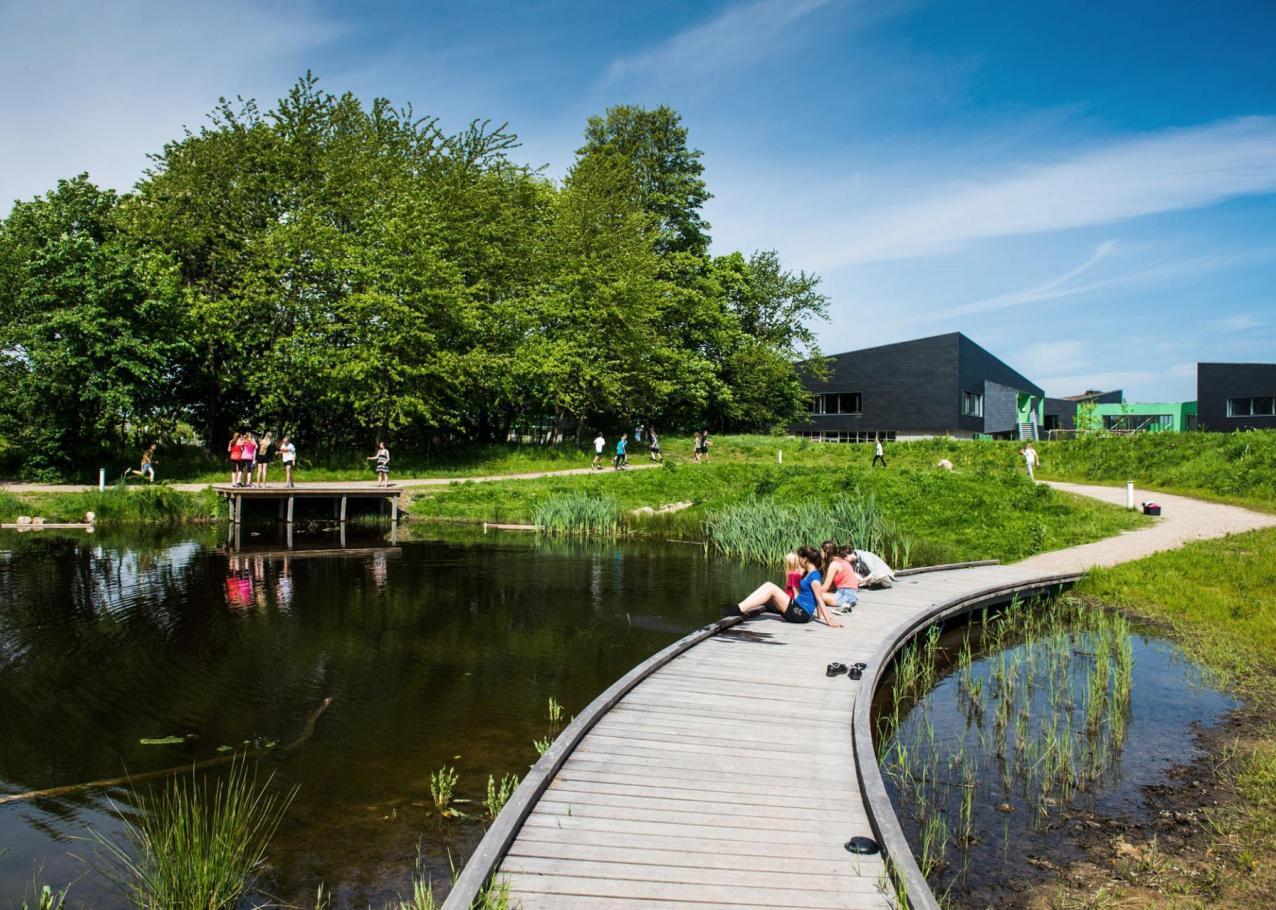 Rubow Fredensborg Skole Rune Johansen