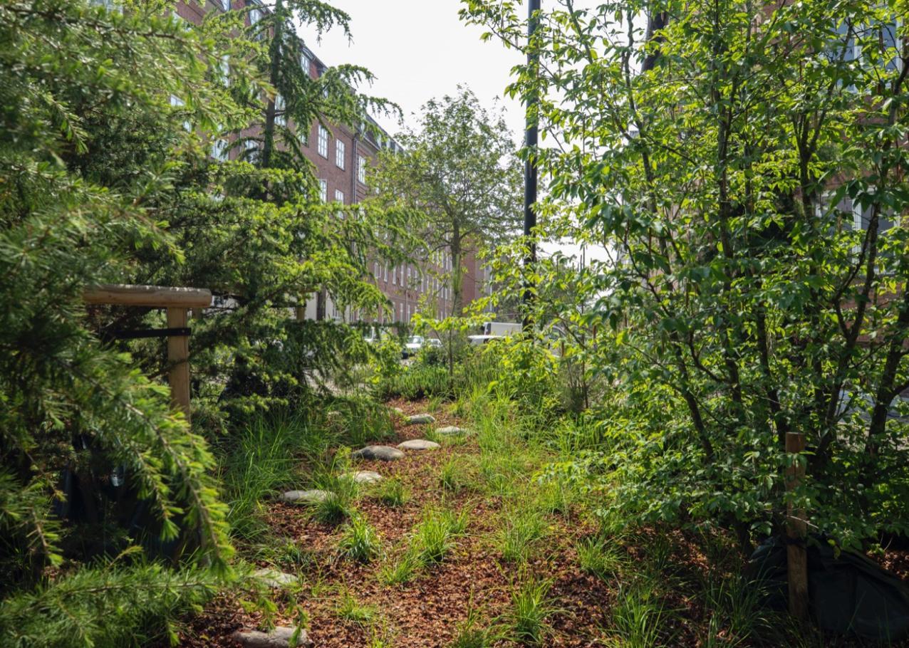 Sankt Kjelds Plads & Bryggervangen af SLA. Foto: Mikkel Eye